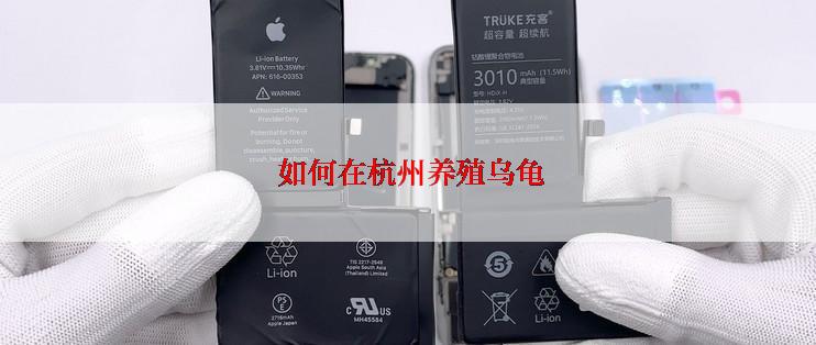  如何在杭州养殖乌龟