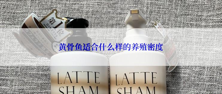 黄骨鱼适合什么样的养殖密度