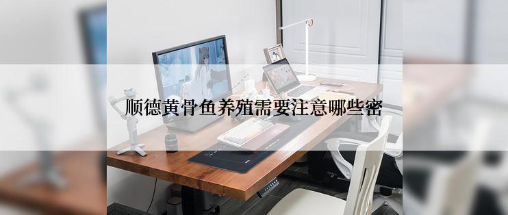 顺德黄骨鱼养殖需要注意哪些密