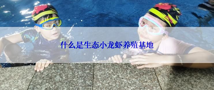 什么是生态小龙虾养殖基地