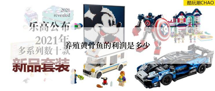 养殖黄骨鱼的利润是多少