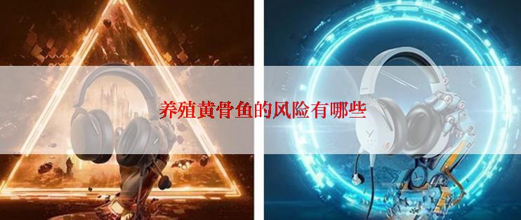  养殖黄骨鱼的风险有哪些