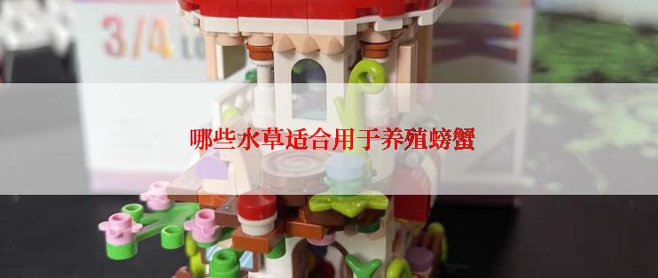  哪些水草适合用于养殖螃蟹