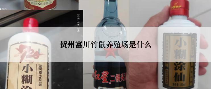 贺州富川竹鼠养殖场是什么