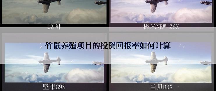 竹鼠养殖项目的投资回报率如何计算