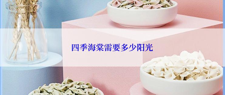 四季海棠需要多少阳光