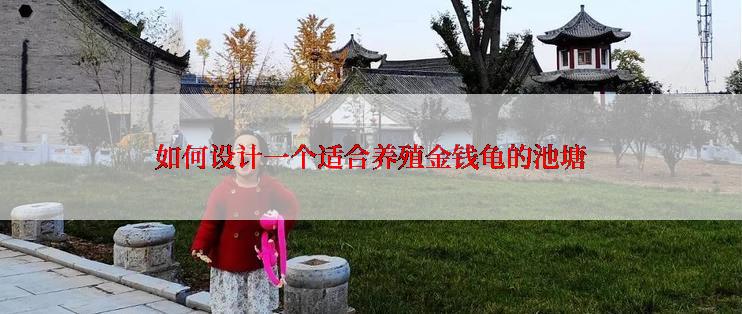 如何设计一个适合养殖金钱龟的池塘