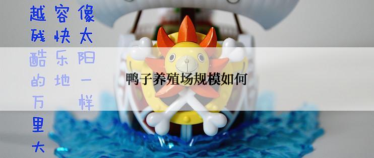 鸭子养殖场规模如何