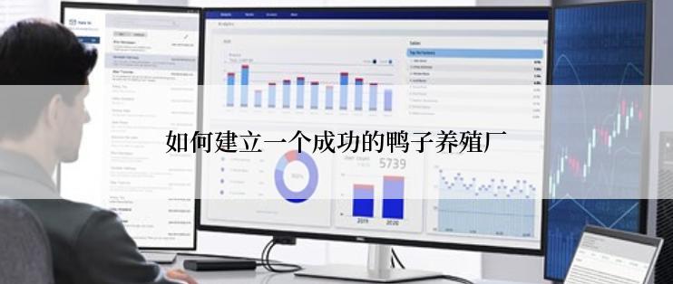 如何建立一个成功的鸭子养殖厂