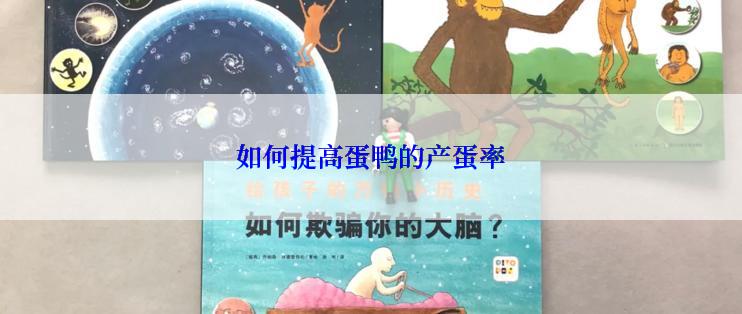 如何提高蛋鸭的产蛋率