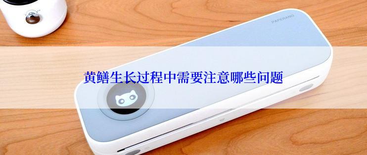 黄鳝生长过程中需要注意哪些问题