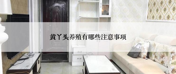 黄丫头养殖有哪些注意事项