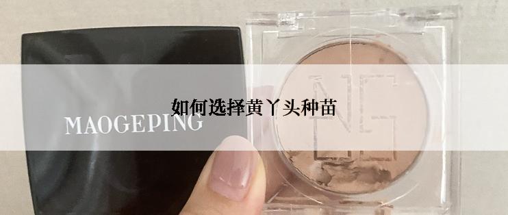 如何选择黄丫头种苗