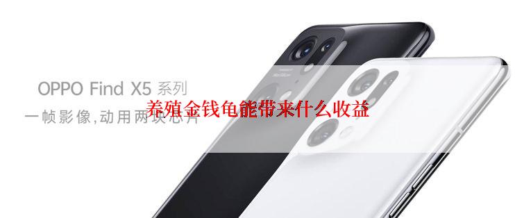 养殖金钱龟能带来什么收益