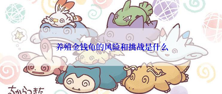 养殖金钱龟的风险和挑战是什么