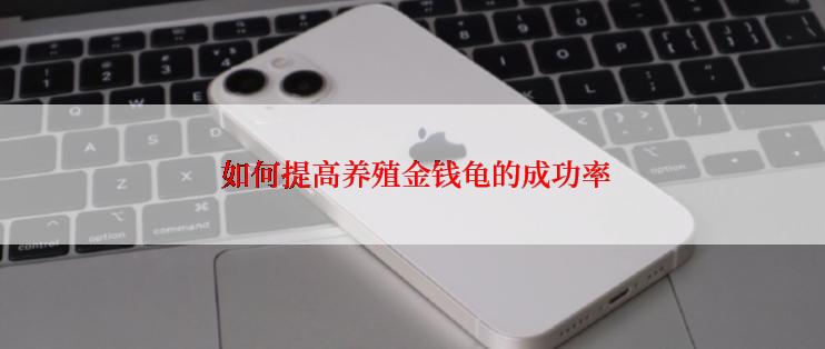  如何提高养殖金钱龟的成功率