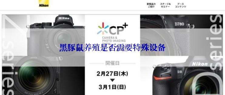 黑豚鼠养殖是否需要特殊设备