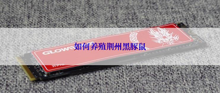 如何养殖荆州黑豚鼠