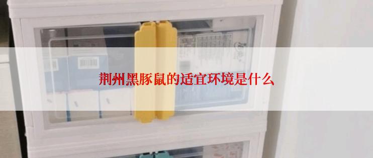 荆州黑豚鼠的适宜环境是什么