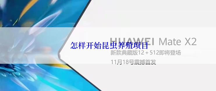  怎样开始昆虫养殖项目