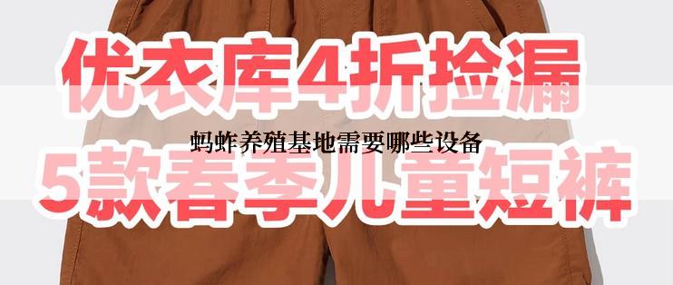 蚂蚱养殖基地需要哪些设备