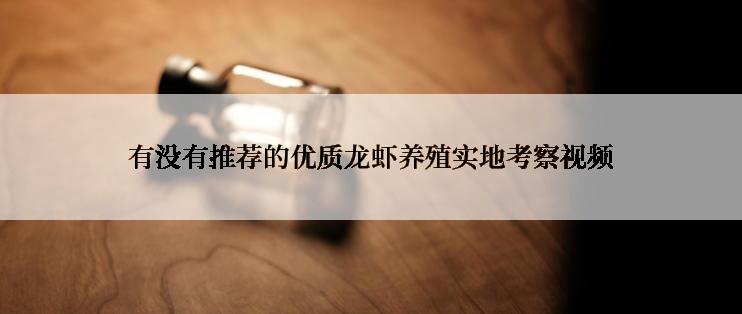 有没有推荐的优质龙虾养殖实地考察视频