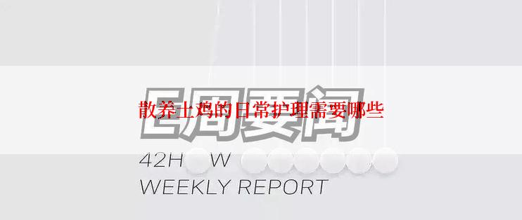 散养土鸡的日常护理需要哪些