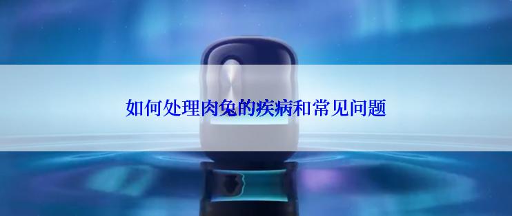 如何处理肉兔的疾病和常见问题