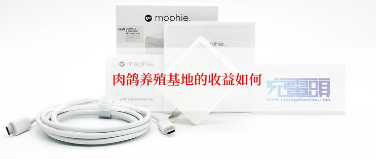 肉鸽养殖基地的收益如何