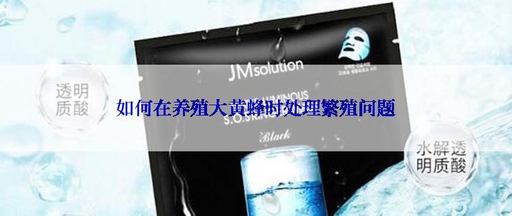 如何在养殖大黄蜂时处理繁殖问题