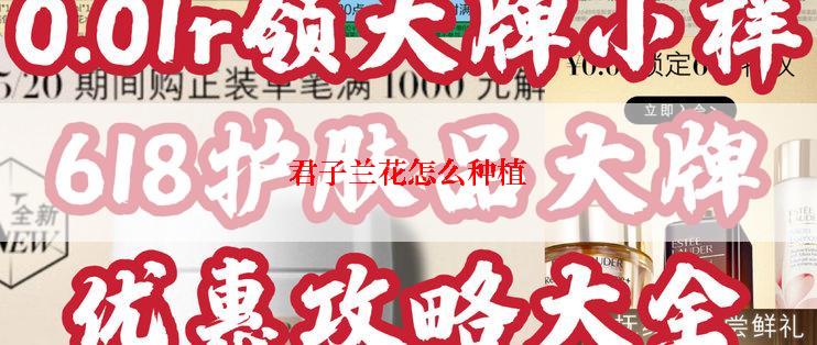 君子兰花怎么种植