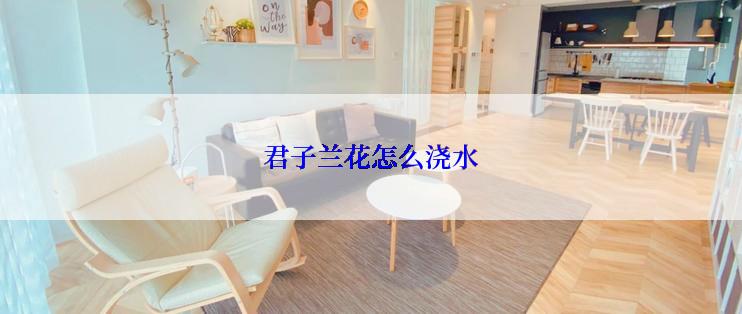 君子兰花怎么浇水