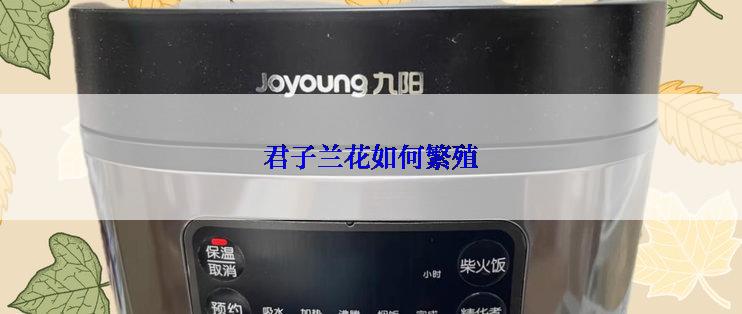 君子兰花如何繁殖