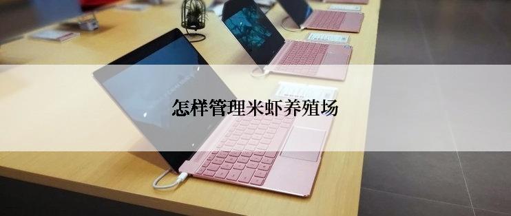 怎样管理米虾养殖场