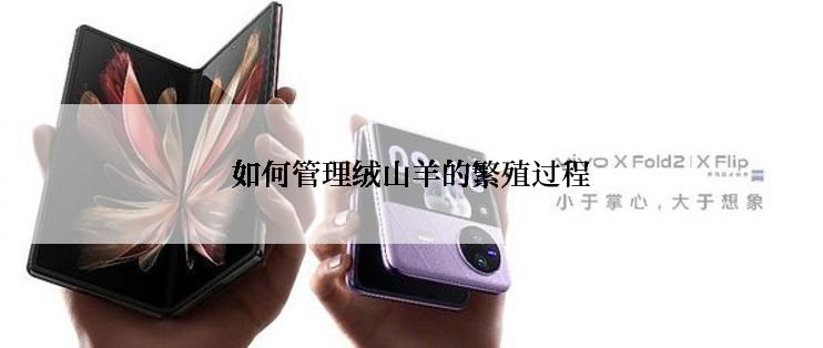 如何管理绒山羊的繁殖过程