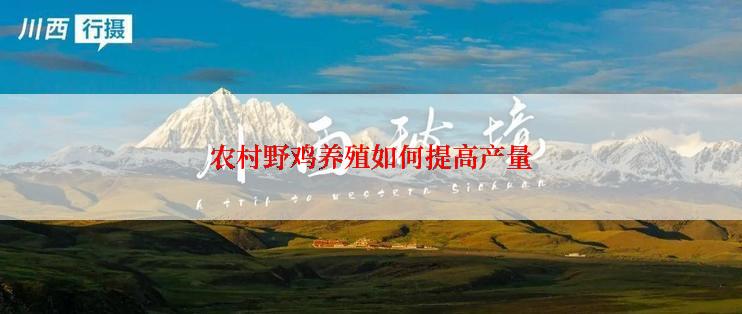 农村野鸡养殖如何提高产量
