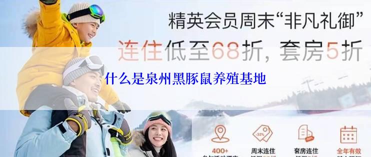 什么是泉州黑豚鼠养殖基地