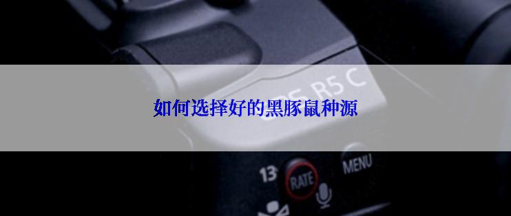如何选择好的黑豚鼠种源