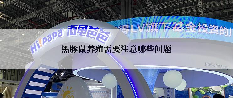 黑豚鼠养殖需要注意哪些问题