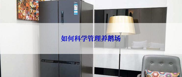 如何科学管理养鹅场