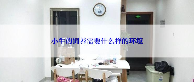 小牛的饲养需要什么样的环境