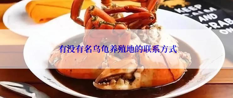  有没有名乌龟养殖地的联系方式