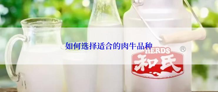 如何选择适合的肉牛品种