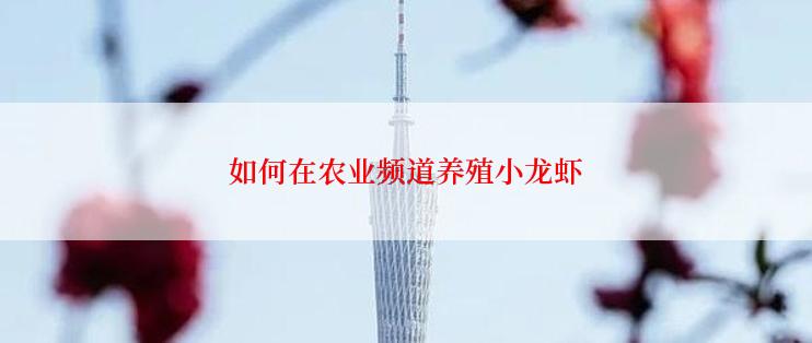 如何在农业频道养殖小龙虾