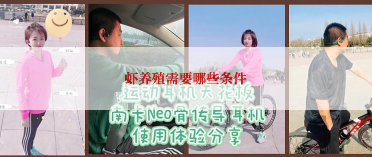 虾养殖需要哪些条件