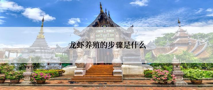  龙虾养殖的步骤是什么