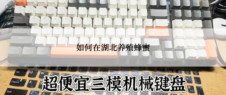 如何在湖北养殖蜂蜜