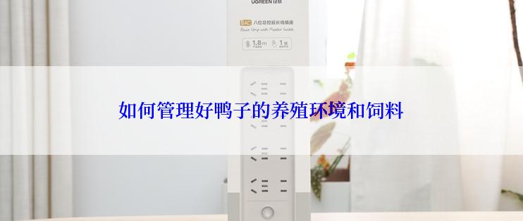 如何管理好鸭子的养殖环境和饲料