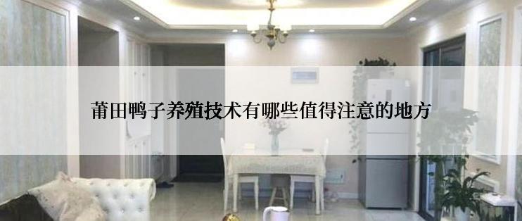 莆田鸭子养殖技术有哪些值得注意的地方