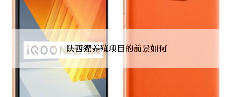  陕西獾养殖项目的前景如何